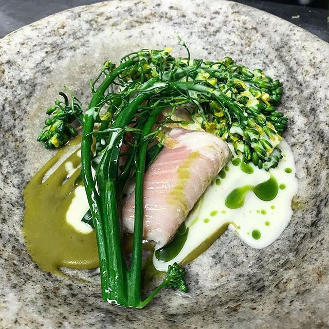 LarderSE1's tweet photo. This week some broccoli arrived in from our farm, it was found sneakily hiding deep in a field of weeds, gone to flower and tasting as sweet as it looks! Here it is in all its glory alongside smoked eel and an emulsion of fermented leeks. #farmfinds #ful… https://t.co/09KzJzWy6b https://t.co/FWKEGN3m3X