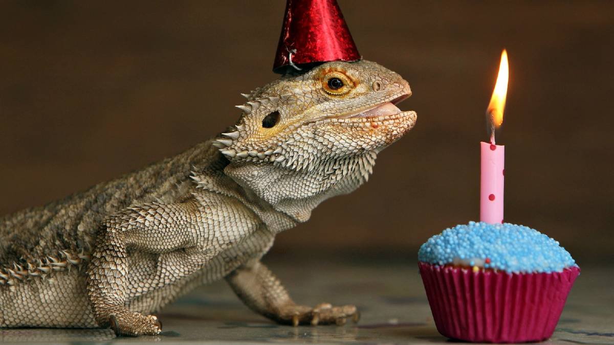 Happy Birthday Prince Charles 