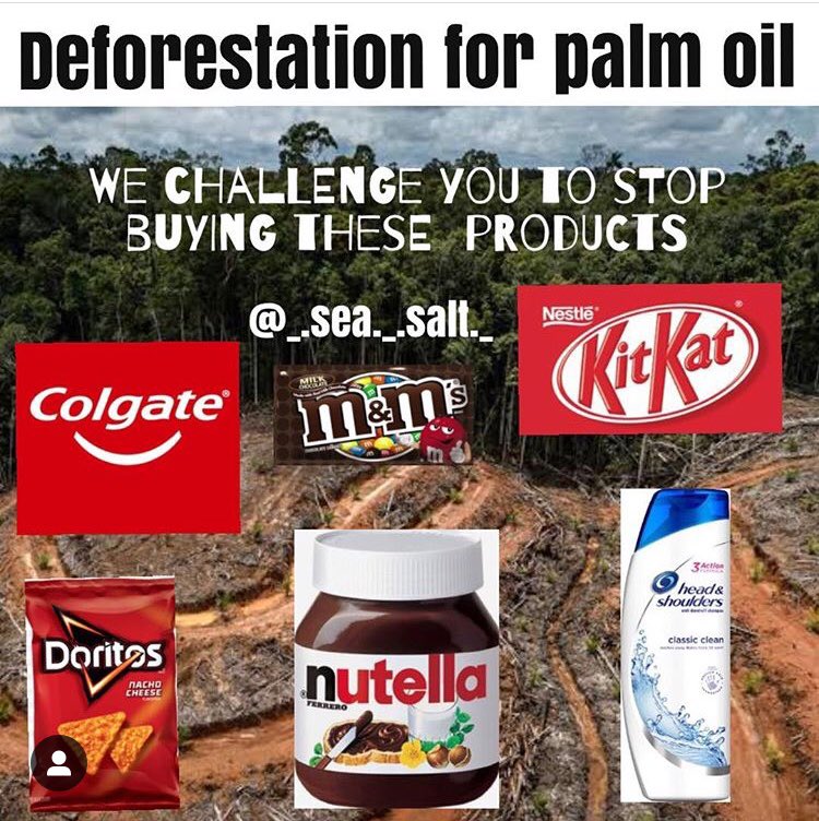 ☝️Soy culpable de la destrucción del hábitat de los orangutanes. Reconozco que por ignorancia ABSOLUTA he consumido y consumo alguno de estos productos. Pensaba que estaba concienciada con el asunto del #AceiteDePalma, pero me he dado cuenta de que NO. (1/2)