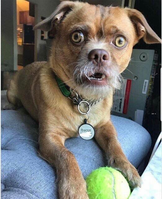 TiyaniTee's tweet image. Was on a call with @JoinUsForTEA rep earlier today. They want to put up a photo me wearing a blazer. 😂 I thought to myself: &quot;I&apos;m I being punished for something?&quot; 🤔😂😂😂😂 #BeingGeek @Neli_Ngqulana @MuziN1