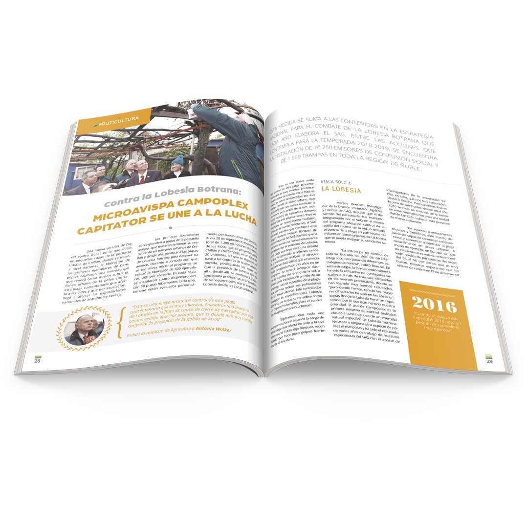 codigoc1's tweet image. CONTRA LA LOBESIA BOTRANA: MICROAVISPA CAMPOPLEX CAPITATOR SE UNE A LA LUCHA

Revisa el reportaje completo aquí:
revistagrupoagro.cl/contra-la-lobe…

#RevistaGrupoAgro #LobesiaBotrana