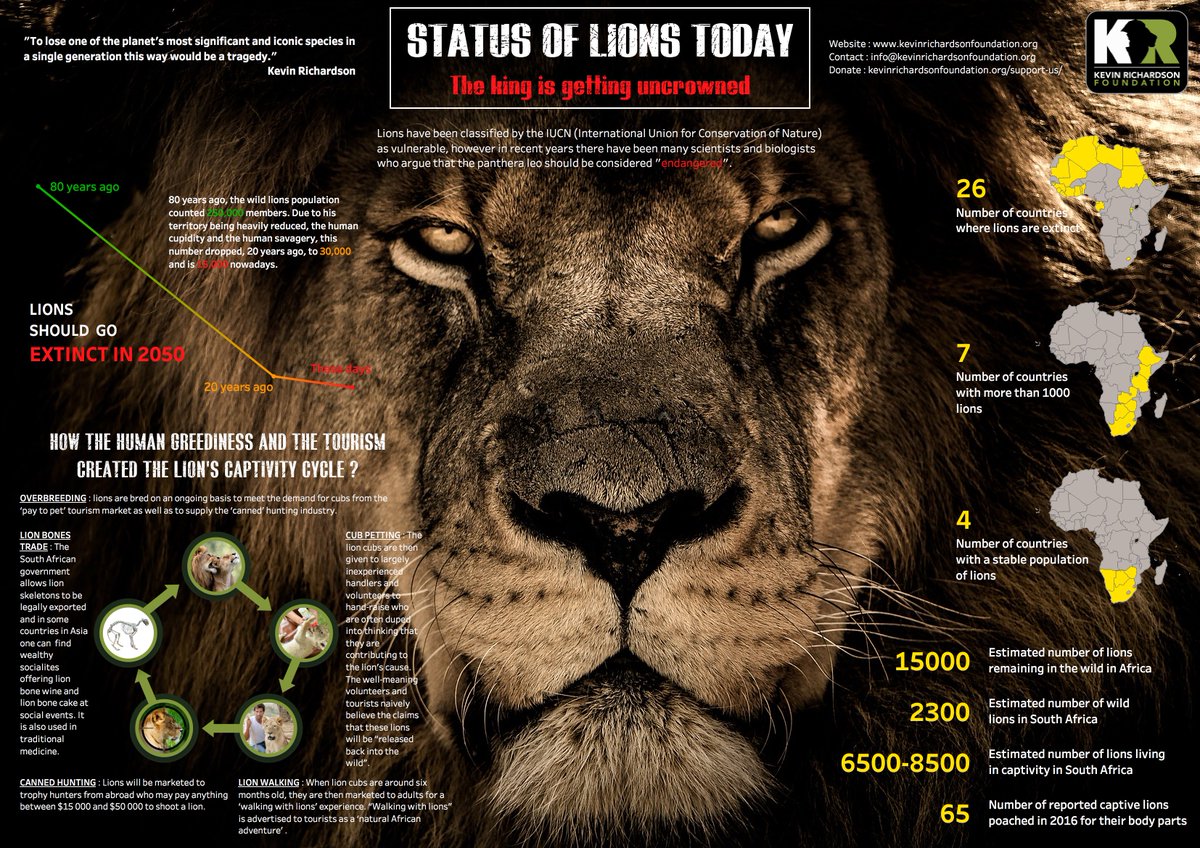 Finished the visualisation for the #VizforSocialGood project about lions !!!
Thanks to the Kevin Richardson Foundation which allowed me to contribute to a cause that matters to me and @datachloe for allowing people to take part in this kind of projects !!