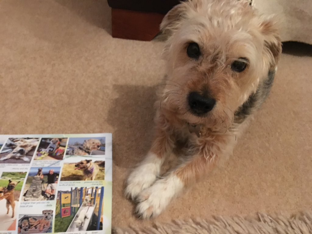 PoppyH20's tweet image. My calendar is here! This year I'm Miss March 😍💋💅🏻🎞 #btpossecalendar Thank you everyone! 😘