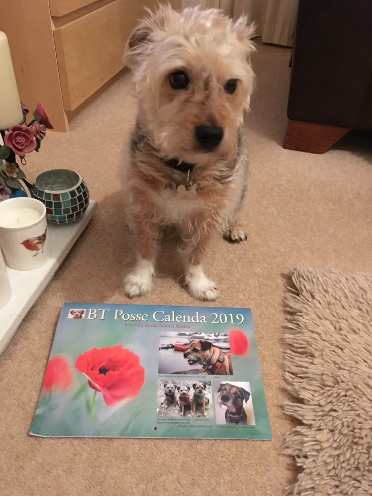 PoppyH20's tweet image. My calendar is here! This year I'm Miss March 😍💋💅🏻🎞 #btpossecalendar Thank you everyone! 😘