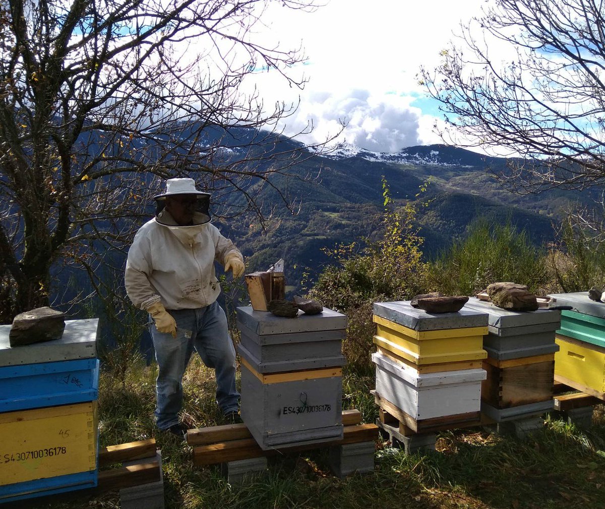 Organic #beekeeping basics. youtu.be/yrtTWnCakMo