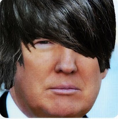 Hil67's tweet photo. @ed_solomon #EmoTrump https://t.co/P4BKJKjS5o