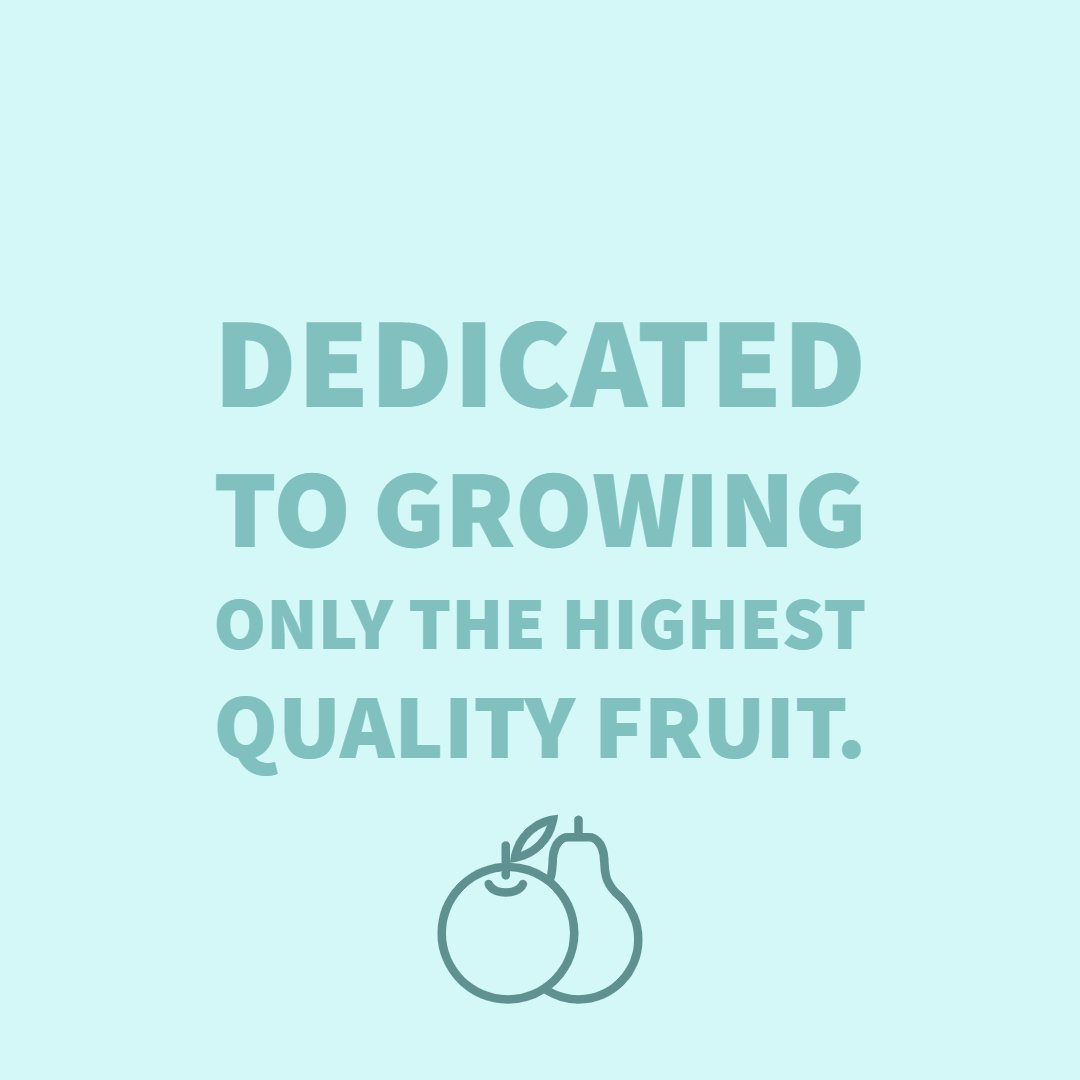 Fruit Growing and Packaging Company - Monson Fruit