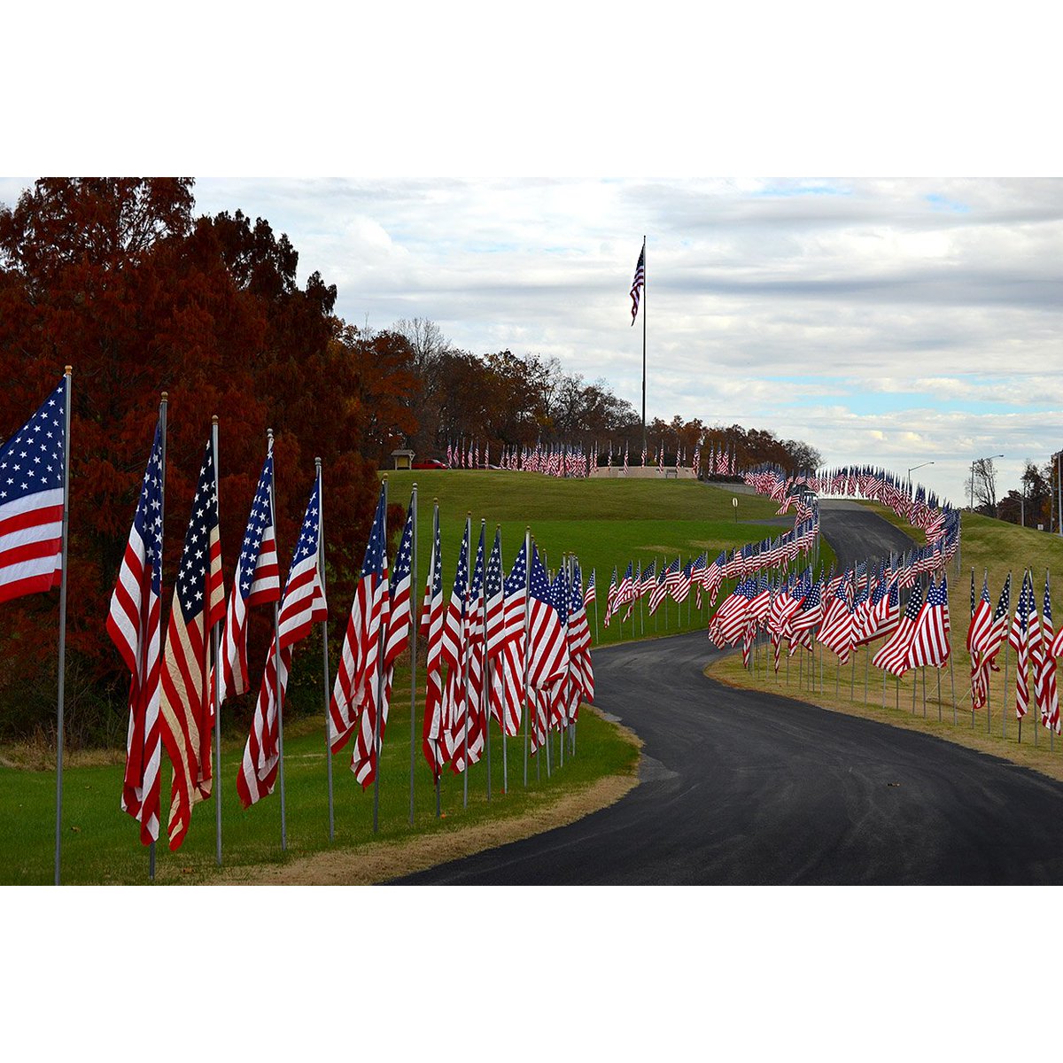 CapeLibrary's tweet image. The library is closed today in observance of Veterans Day. We thank our veterans for their service, today and every day.