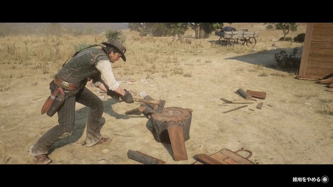 のぶたん Nobtan X25 18年11月 Page 2 Twilog