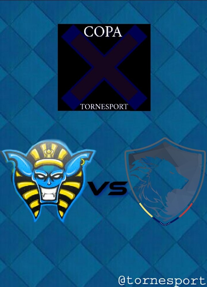 Tornesport tweet media