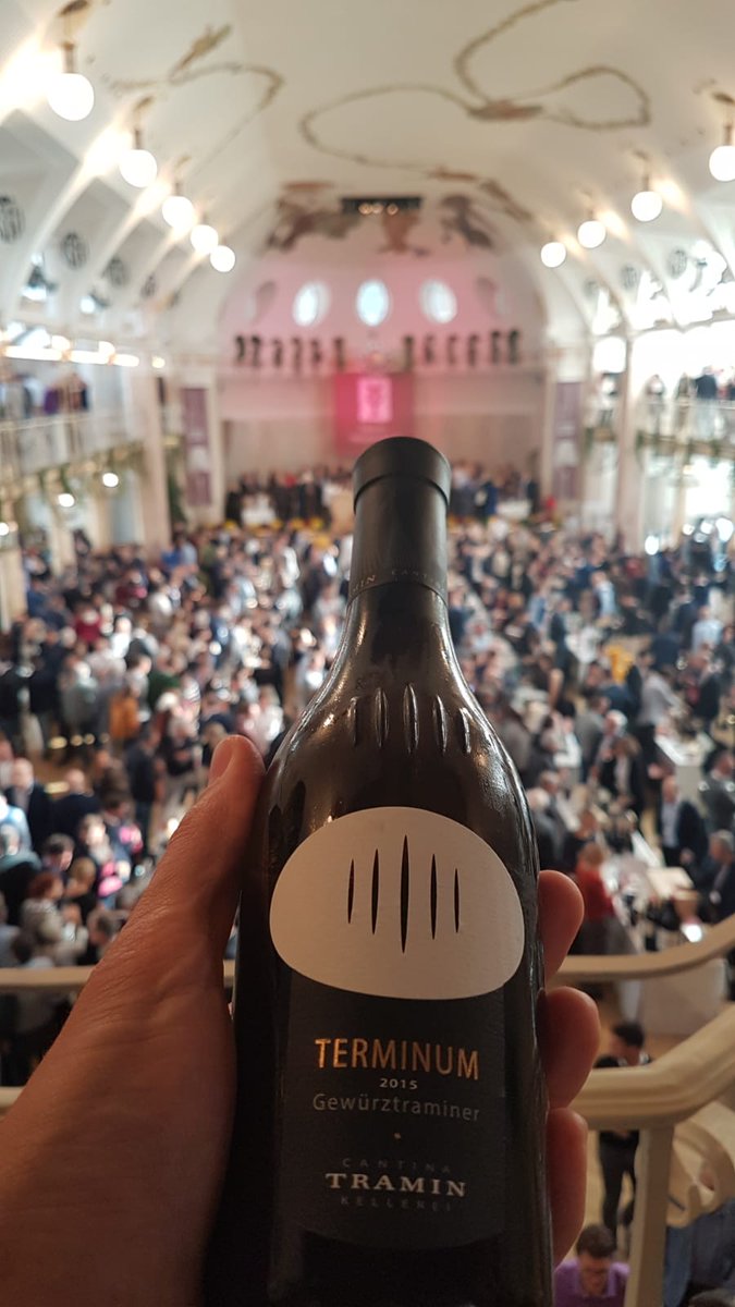 CantinaTramin's tweet photo. Thanks Merano Wine Festival! See you next year!
By the way, you have tasted our #Terminum Gewürztraminer, haven’t you?
@MeranoWineFest @AltoAdigeWines #CantinaTramin #MWF2018 #MeranoWineFestival https://t.co/A37UeTQZwK