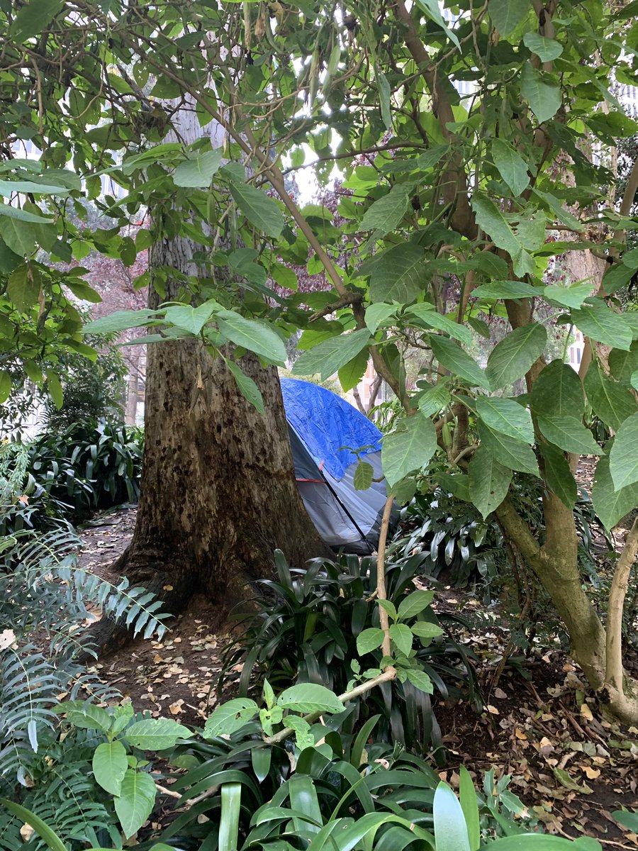 Gregster56's tweet image. You might think someone is camping in the forest, but no. This is Sue Bierman Park across from #embarcaderocenter. Maybe some outreach? @LondonBreed @SFPDCentral @SF_HSH @JeffKositsky @SF311 @AaronPeskin @TheMarinaTimes @Scott_Wiener @hknightsf