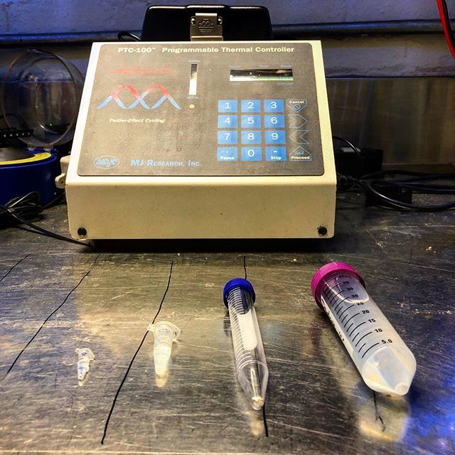 brooklyn_bio's tweet photo. Series B of many-sized solution containers (“the disposables”). What sizes did we miss?
.
.
.
#solution #science #sciencesolutions #dna #molecularbiology #genetics #microbiology #cloning #smallvolumesofcolorlessliquid #dna #molbio #brooklynbusiness https://t.co/r1vFpED3kU https://t.co/9nC0r7CN5w