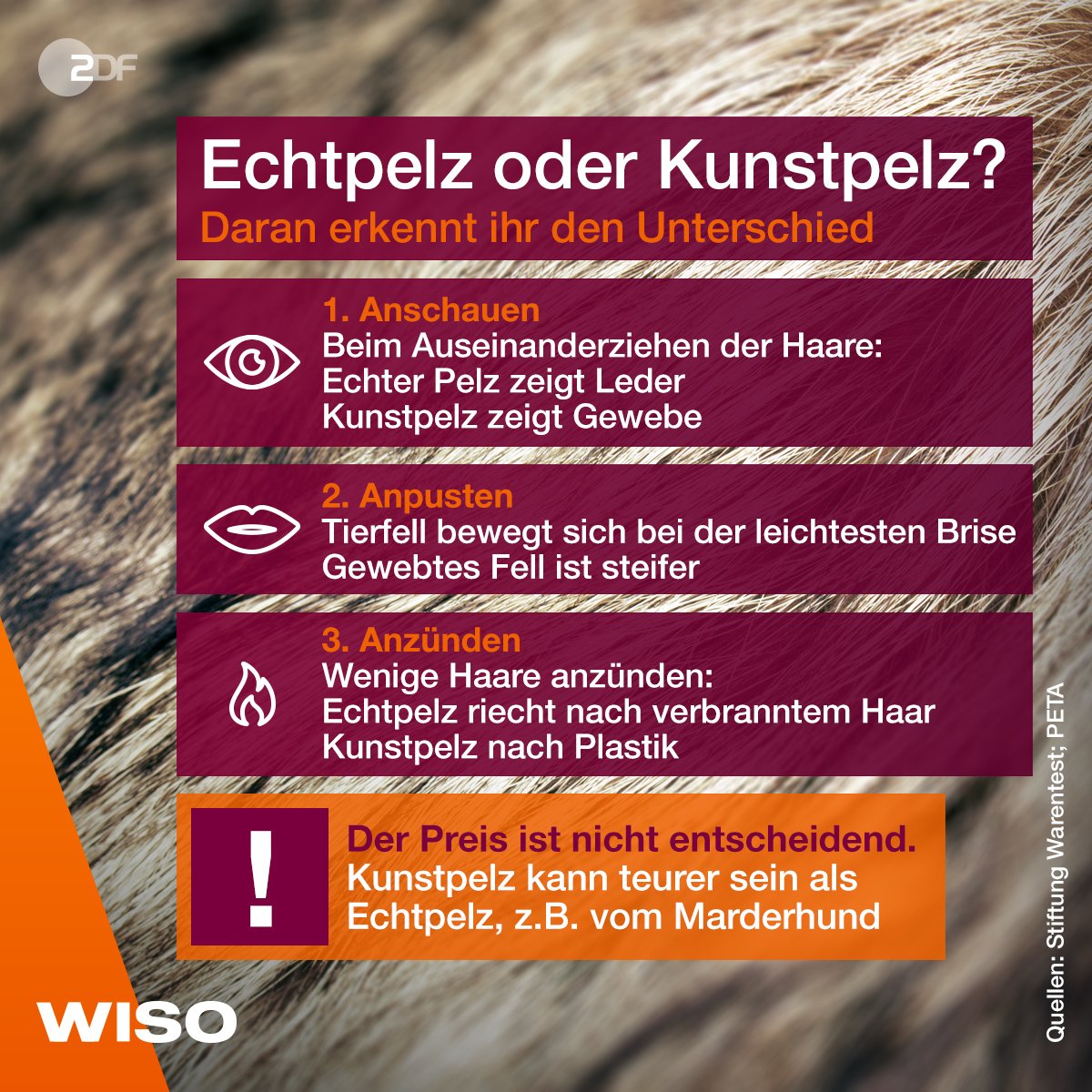 Wiso Mit Diesen 3 Einfachen Tipps Unterscheidet Ihr Echten Pelz Von Kunstpelz Wiso Niehaves Fell Nabu De Greenpeace De Peta De Tierschutz Bund T Co Gp0s3hqivo