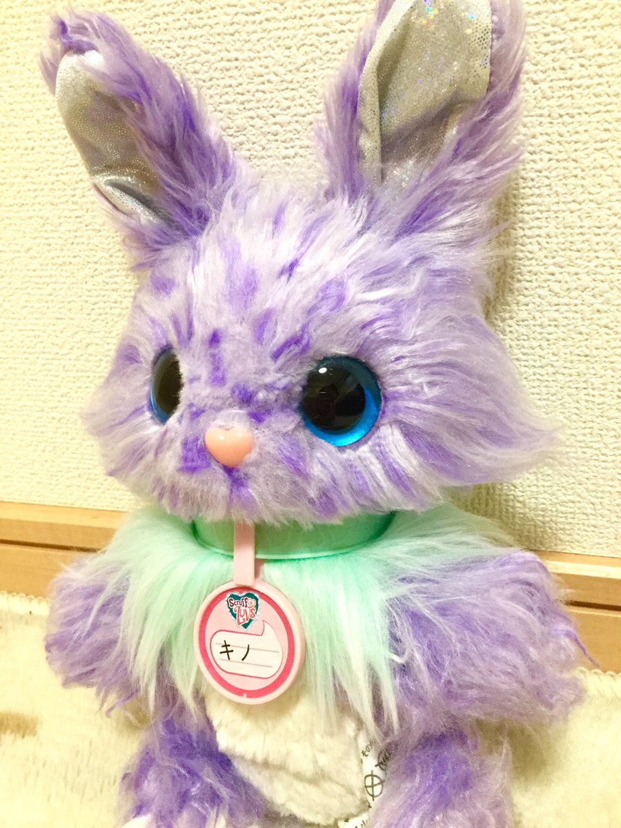 ピザ子 Twitterissa トイザらス限定カラー うさぎの キノ です フーアーユー ベストフレンドフォーエバー