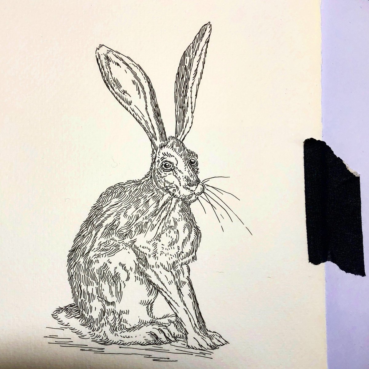 One Quick Hare #dorshak