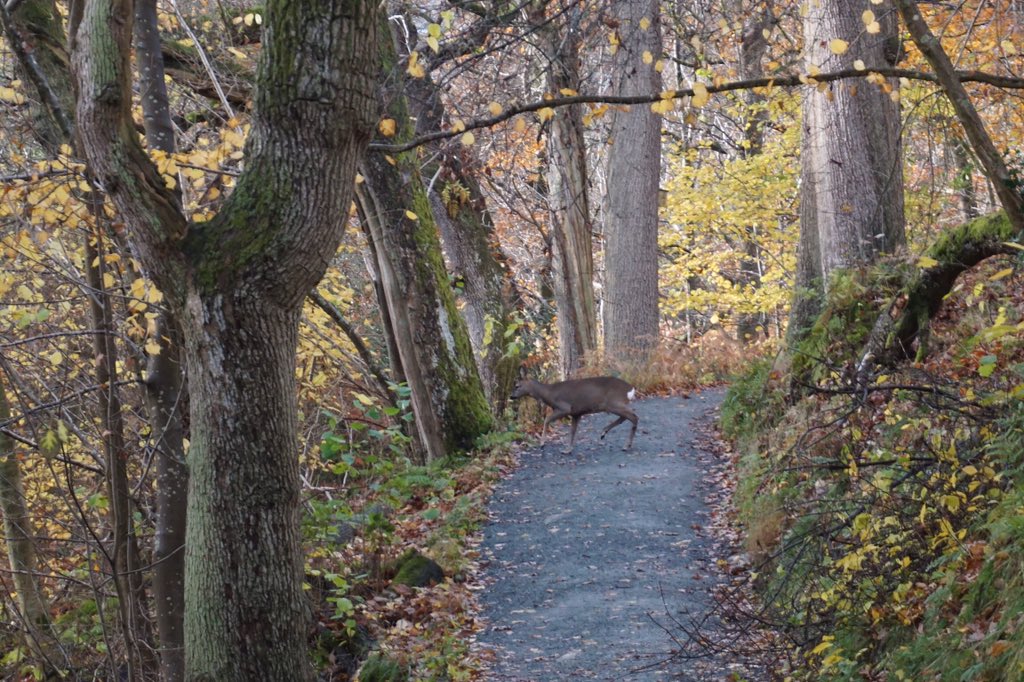 Jenny Williams 🌻 tweet media