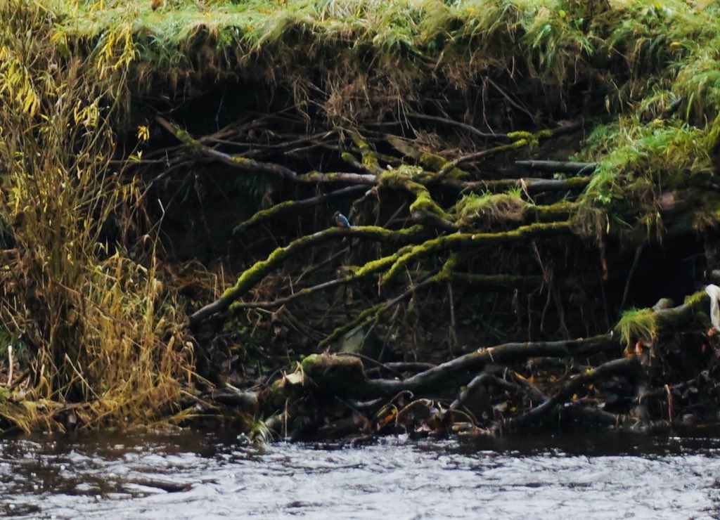 Jenny Williams 🌻 tweet media