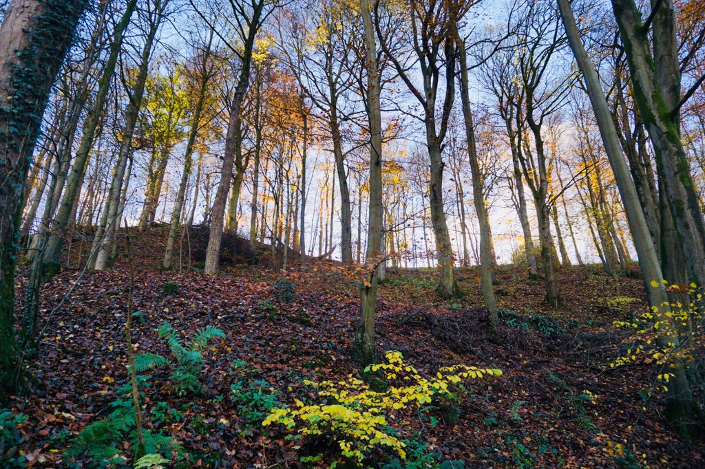 Jenny Williams 🌻 tweet media