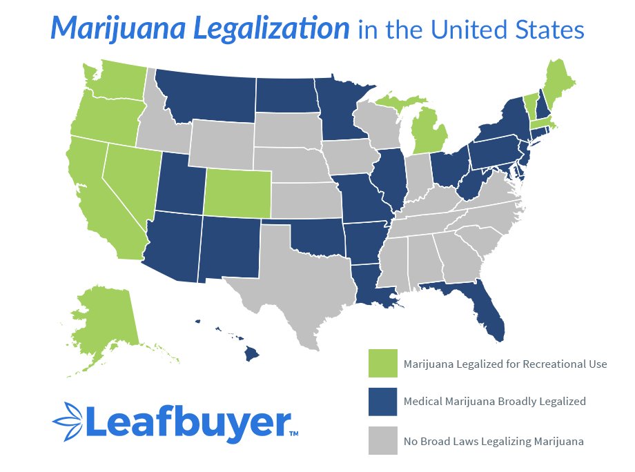 Map of Marijuana Legalization in the United States.
leafbuyer.com
More on our Blog: leafbuyer.com/blog 

#legalizationday #legalization #legalizationincanada #LegalizeIt #marijuana #cannabis #MondayMorning #Monday #Leafbuyer
