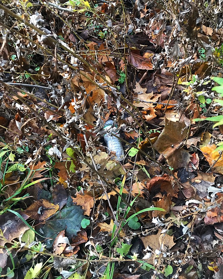 Next time you are on the trail, bring a supermarket bag for garbage. #leavenotrace

Found this bottle out fishing for Steelhead.

#pickup1million1 #pickup1million