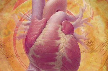 NursingJournal_'s tweet image. NEW CE opportunity! Explore the obstacles of implementing a cardiac-specific enhanced recovery after cardiac surgery (ERAS) program to improve patient outcomes: ow.ly/pcxL30mAngU