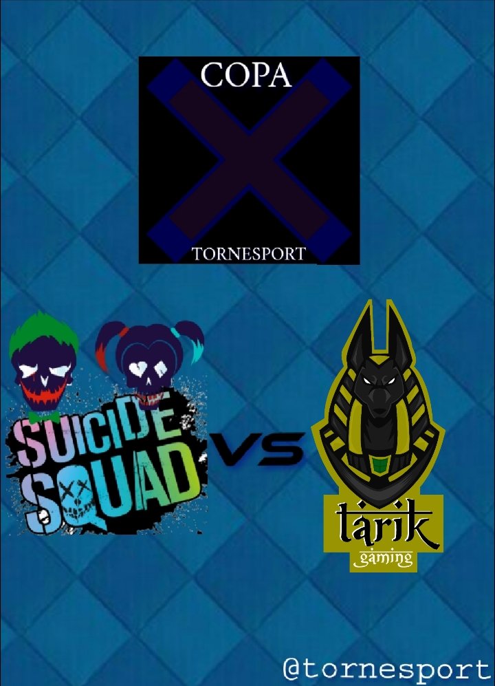 Tornesport tweet media