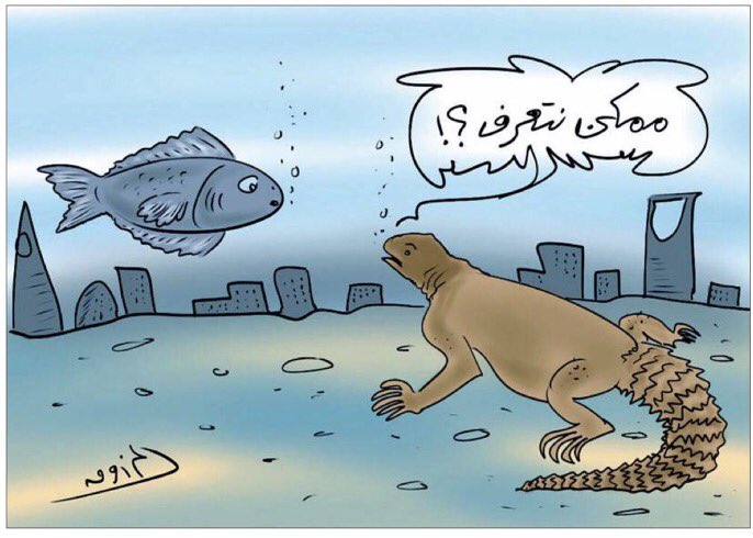 كاريكاتير السعودية tweet media