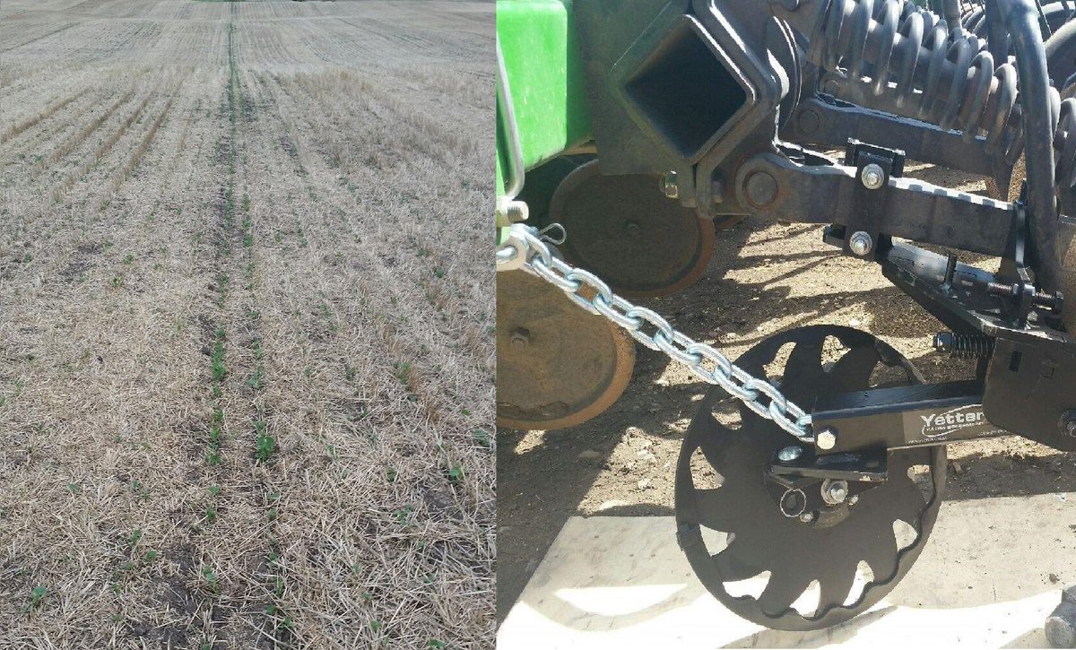 YetterFarmEquip's tweet photo. Can you guess where the @YetterFarmEquip #rowcleaner was used? Thanks to a grower @agritradetoday that tried 2 rows last spring planting Canola. Pricing the other 46 rows today. See the 2966-002 in action and more at https://t.co/7nyNA7LSsR #1stopshop https://t.co/nGLquITx3p
