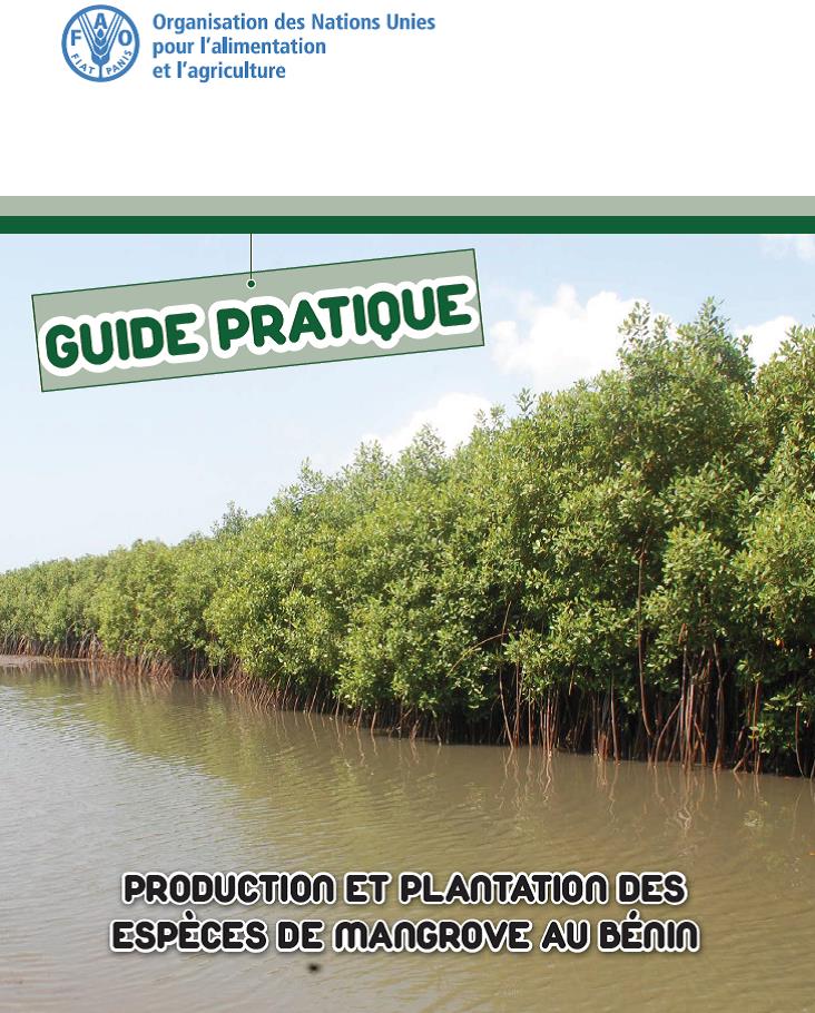 FAOBenin's tweet photo. La FAO-Bénin vient de publier le "Guide pratique de production et de plantation des espèces de mangrove au Bénin"

Guide_Manuel-Technique-de-production-de-mangroves.pdf https://t.co/fVL62cCwyE