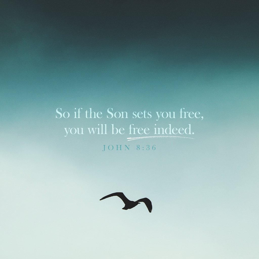 You ARE free today! #LoveGoes