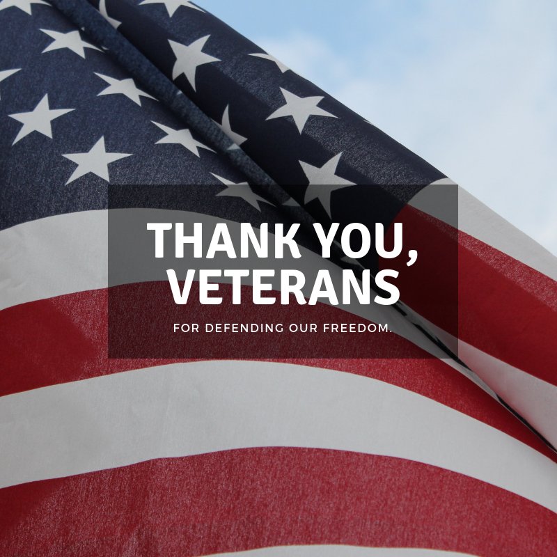 chemtekinc's tweet image. Thank you to all brave veterans for your service to our country!  #VeteransDay