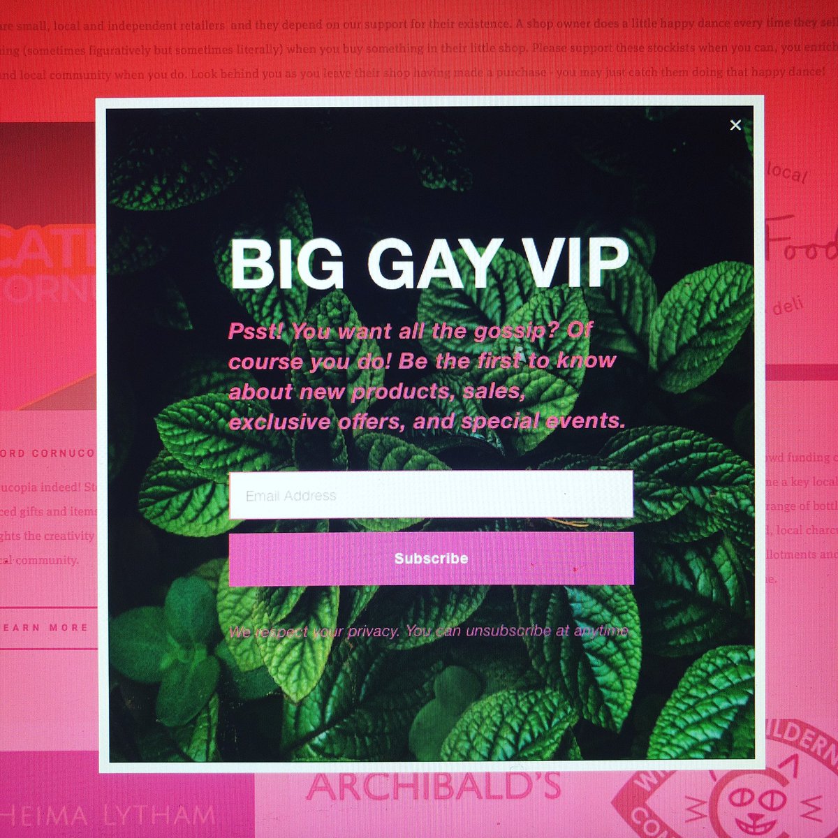 To be in with a chance to get a 25% discount code for my new website, you need to be one of the first 25 people to sign up to be a #BIGGAYVIP - have you got what it takes to be a BIG GAY VIP?  Prove it big boy! mailchi.mp/0e425a243ded/n…