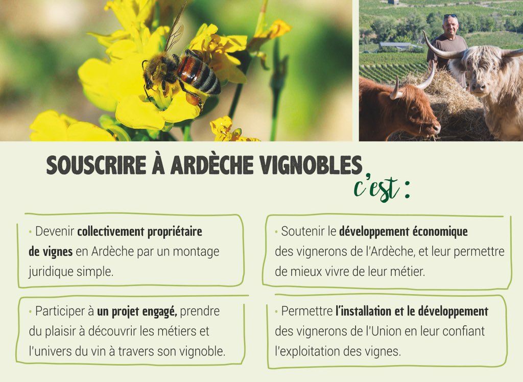 Vignerons_07's tweet photo. Ardèche Vignobles vous offre l’opportunité de devenir collectivement propriétaire de vignes en Ardèche, en profitant de nombreux avantages. Vous voulez en savoir plus : rendez-vous à Neovinum-Ruoms le Samedi 17 Novembre pour une réunion publique. #scic #vignoble #Ardeche https://t.co/5ruaEJ0w5z