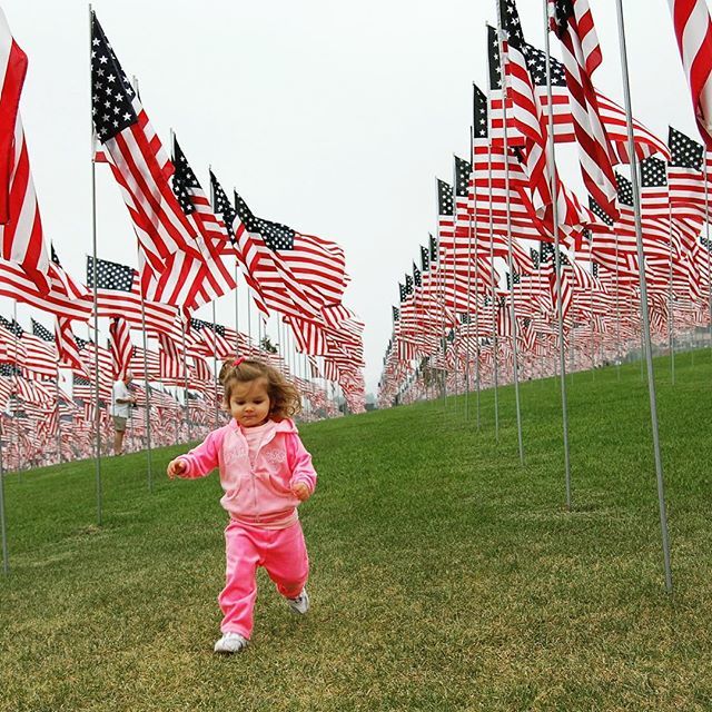 BornintheUSABab's tweet photo. HAPPY VETERANS DAY. American made baby gear @bornintheusababy  ##sky #nature #beautiful #sun #summer #sunset #clouds #photooftheday #instagood #love #photography #travel #sea #landscape #beach #picoftheday #blue #photo #happy #amazing #instadaily #beauty… https://t.co/Il1fVPPKhK https://t.co/KG9Ae5nBYO