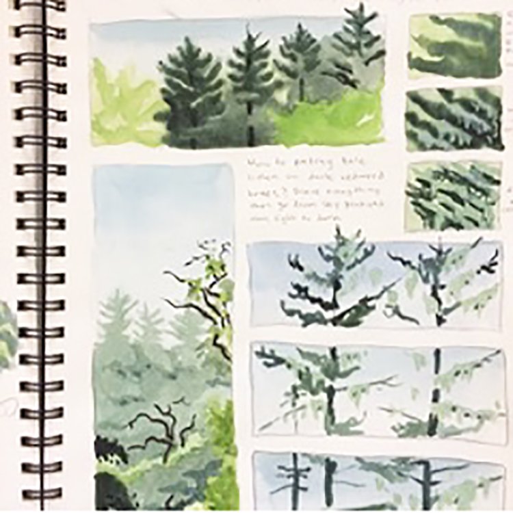 Looking for a fun way to get outside (after the smoke clears) and observe nature? Please join us for our upcoming, “Nature Journaling at the Laguna with Marley Peifer Workshop and Field Trip.” Pre-registration required. Please visit lagunafoundation.org for more info.