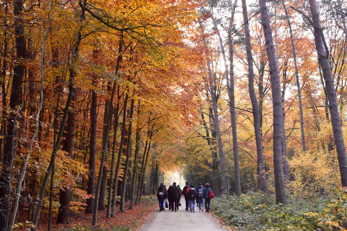 We zijn begin dit schooljaar gestart met een nieuw citizen science project Knappe K(n)oppen waarin we onderzoeken of onze bomen bestand zijn tegen een warmere wereld. #knappeknoppen #citizenscience #klimaatverandering #UAntwerpen #Reagent #MOS #STEMonderwijs #EWI