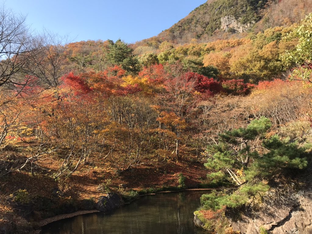 ルゥ 見上げる空に 秋の夕陽ーにー 照る山紅葉 佐渡のもみじ山の紅葉が すごくきれいだったよ この公園からは海も見えるんだよー 佐渡 もみじ山 紅葉