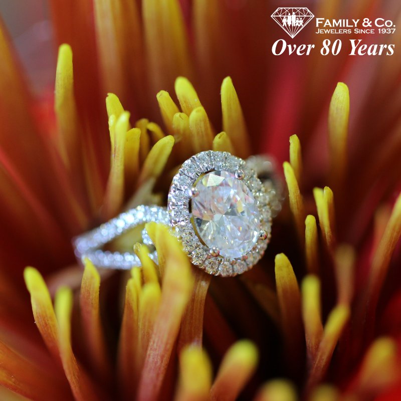 FamilyJewelers's tweet photo. It doesn't have to be as hard as finding a needle in a haystack.
.
Let us help you find what you're looking for 💍!
.
#WeAreFamily #SJDiamondDestination #Over80Years #Since1937 #fashion #jewelry #jewel #jewels #ring #diamond #diamonds #southjersey #marltonnj #marlton #wedding https://t.co/la26YeplQ5