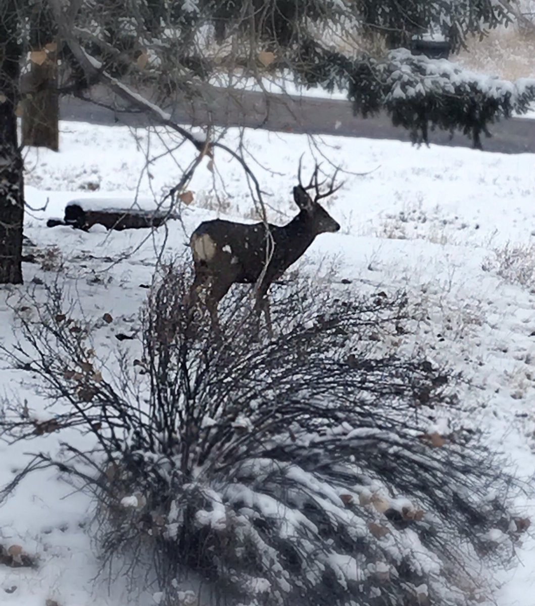 Our special guest this past weekend for our November concert series. He loves #ECOmusic as much as we do!