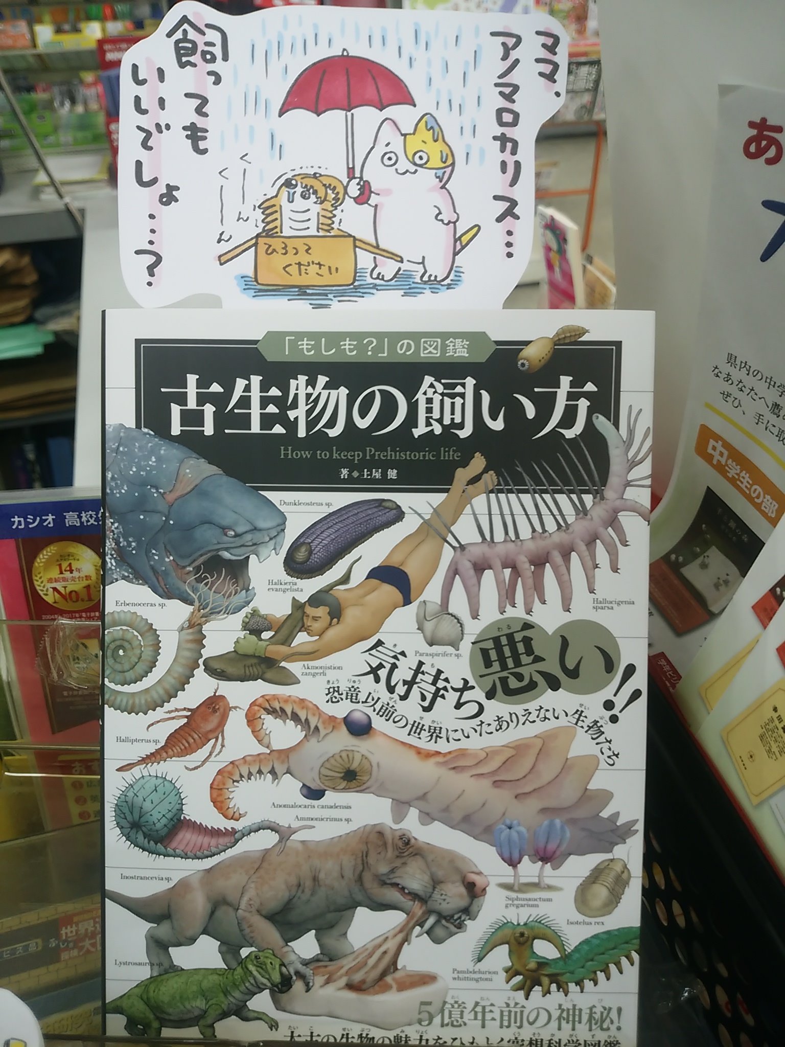 八戸市 木村書店 書籍発売決定しました 本日紹介する書籍は 古生物の飼い方 です 古代の地球に棲んでいた様々な生物達を もしも私たちが飼う事になったら という目線で楽しむ本 アノマロカリスをはじめ キモカワだったりコワカワイイ生き物たちの