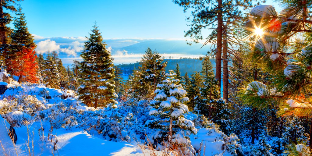 SecretsInn's tweet image. #SouthLakeTahoe's magical season is near. Spend bright #holidays in winter's wonderland bit.ly/2QBWlHS