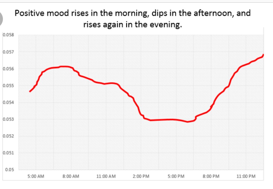 Энэ яг үнэн байх шүү. Жиргээчид "сайхан өглөөний мэнд" гэж гоё гоё зураг пост-лоод эерэгээр эхэлж, өдөр алалцаж байгаад, орой нь сайхан амраарай гээд хайр түгээгээд унтдаг 😄