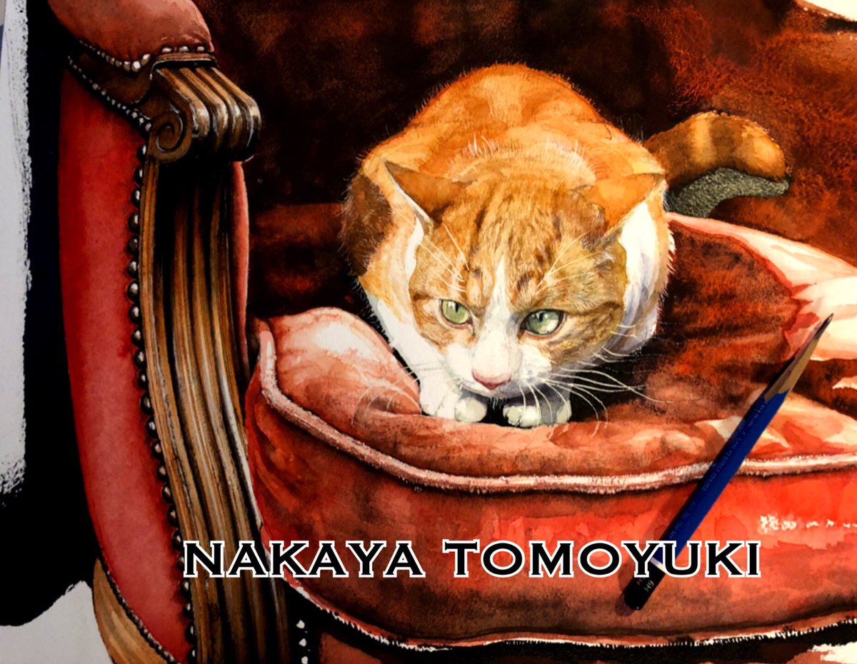 no humans animal focus traditional media cat looking at viewer animal painting (medium)  illustration images