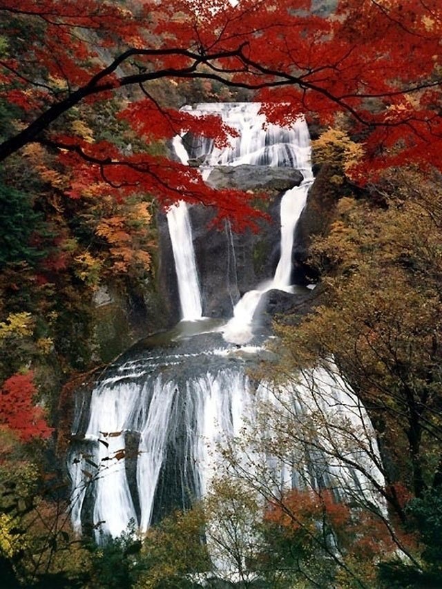 花園渓谷 花園渓谷