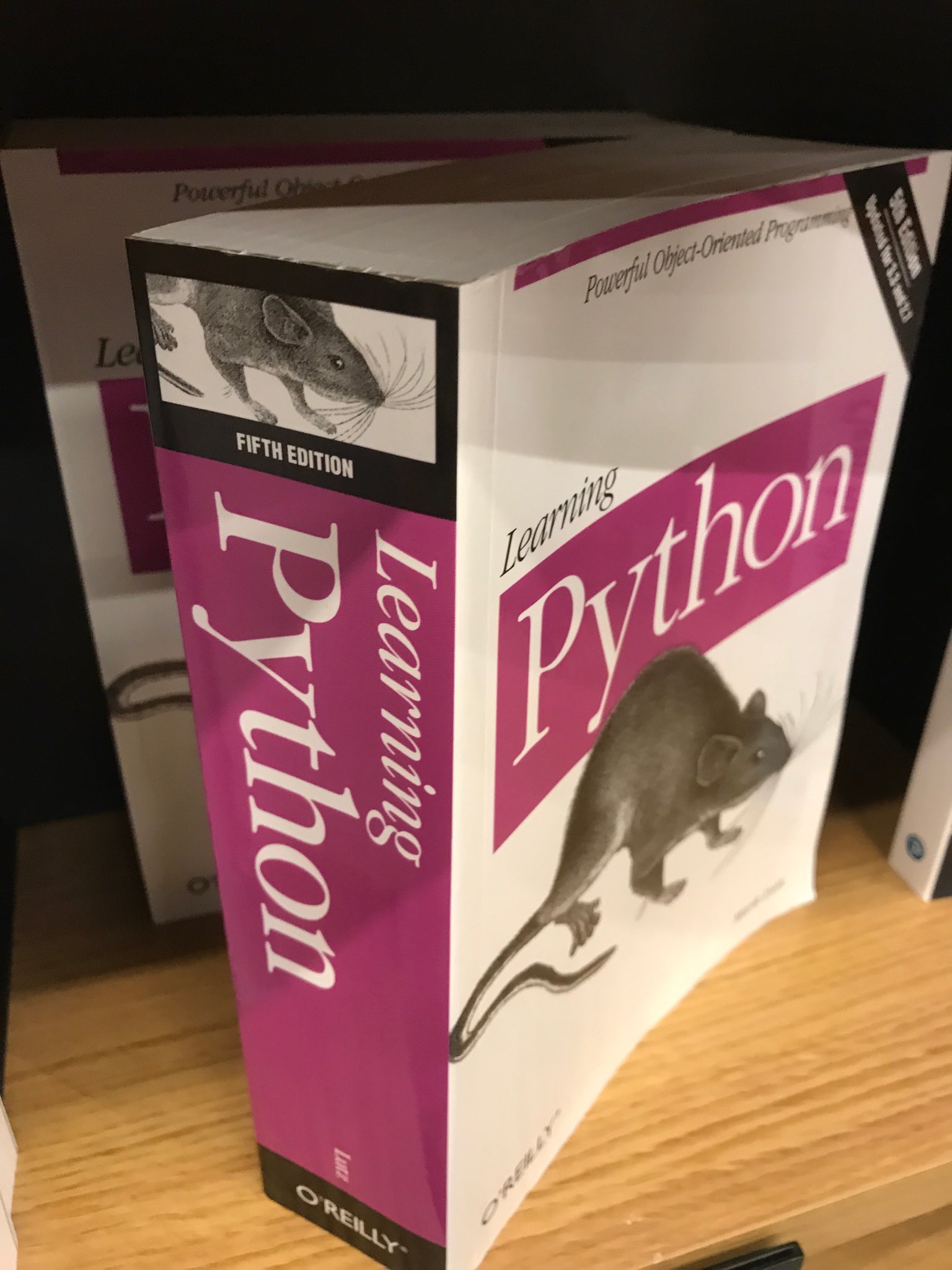 Review Of O'Reilly's Learning Python, 5th Edition · Annvix, 59% OFF