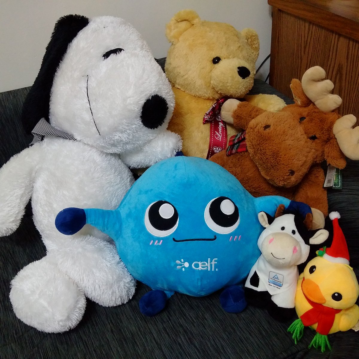 Happy happy  #aelfiego