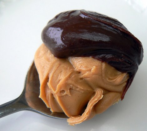 AnsweriQ tweet media