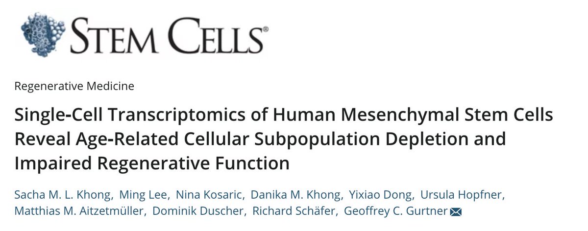 StanfordSurgery's tweet photo. "these findings may explain a novel mechanism for the enhanced healing capacity of young stem cells..." New from #HageyLab: https://t.co/d1CJRxYWYE @StanfordPlastic #stemcells https://t.co/gsh0Y0wBuq