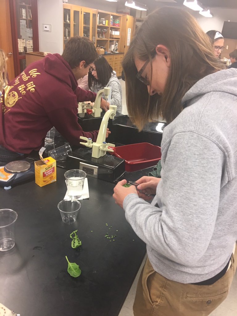 science_007's tweet photo. #Apbio #photosynthesis lab @D_Up_D_Up @ChadOPugh @CoachSheilaEddy @ps_clinton @PaulaHarp10 https://t.co/CzDHzQC31G